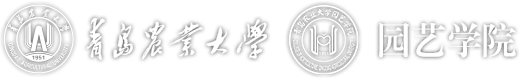3003新葡平台